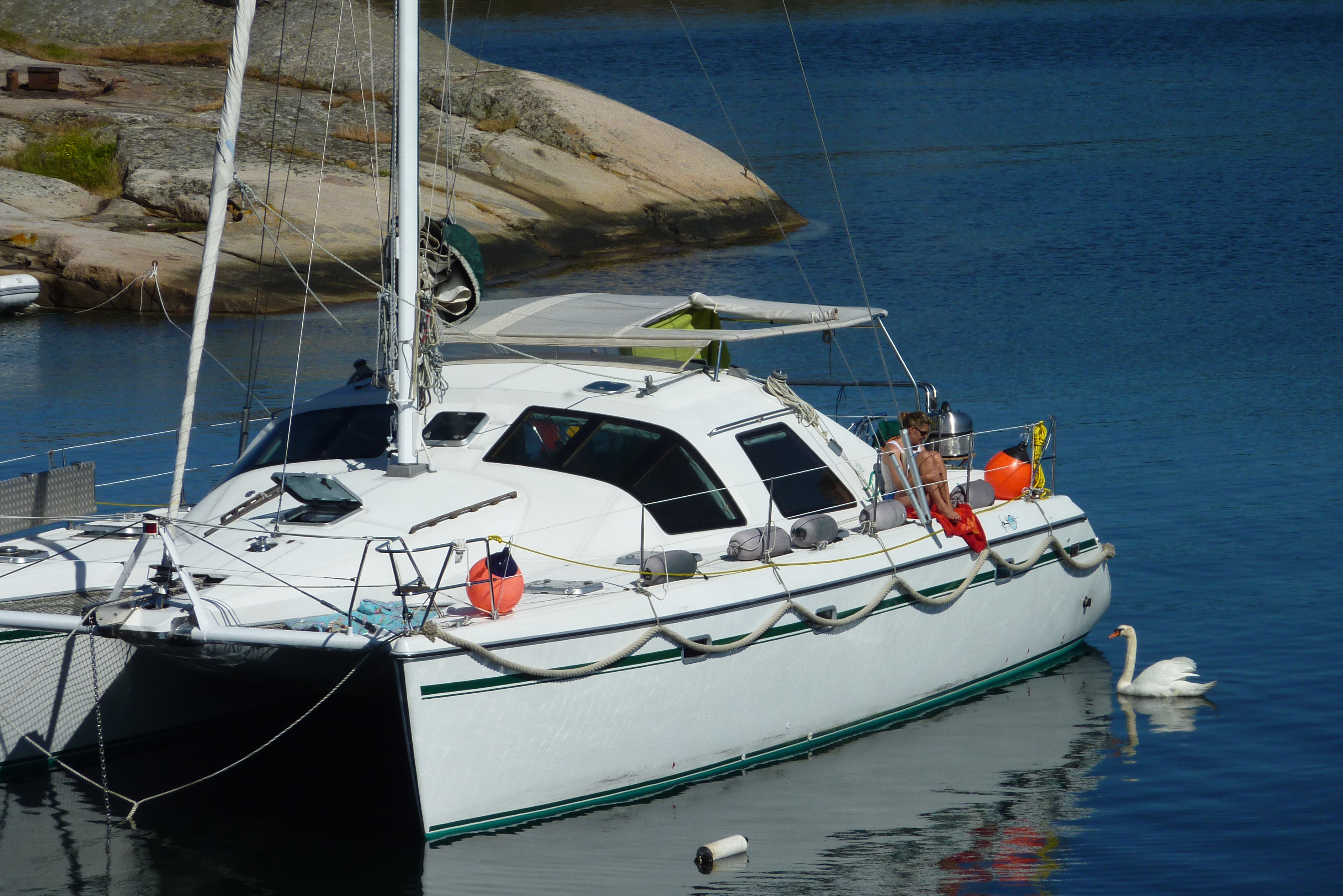 Unsere Misses Robinson -  Der 