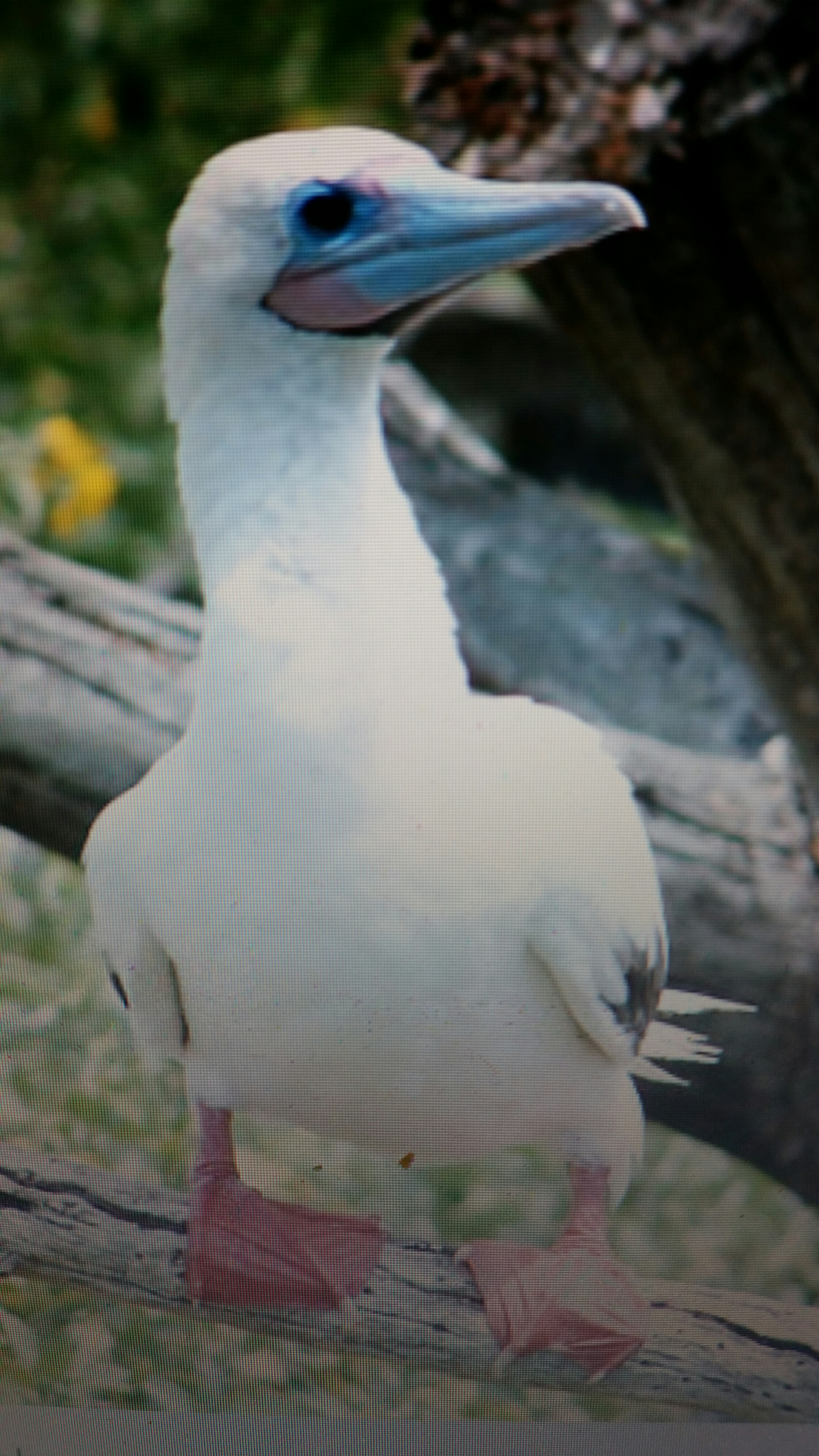 20150410 103746 resized