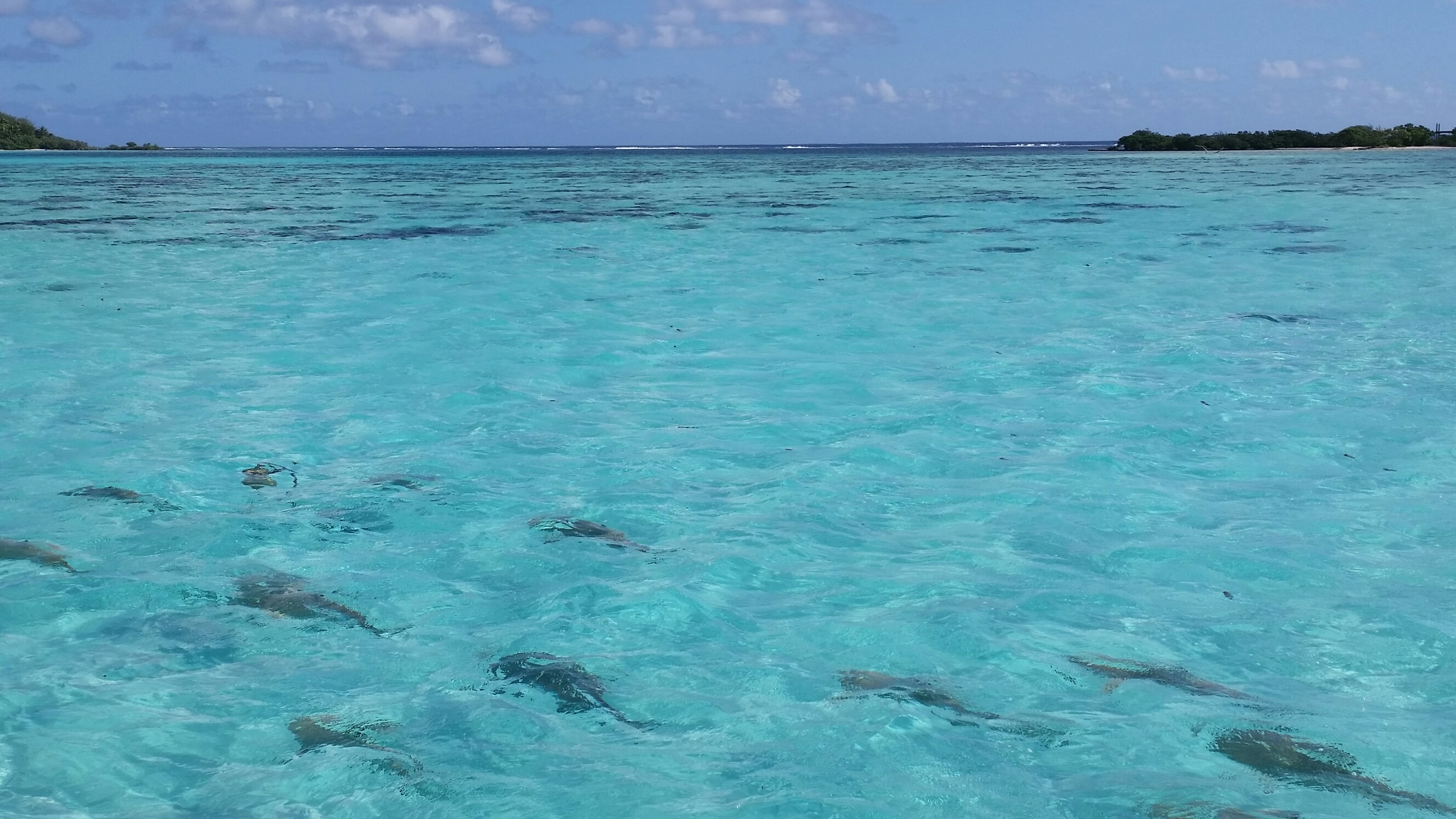 20150630 110130 resized